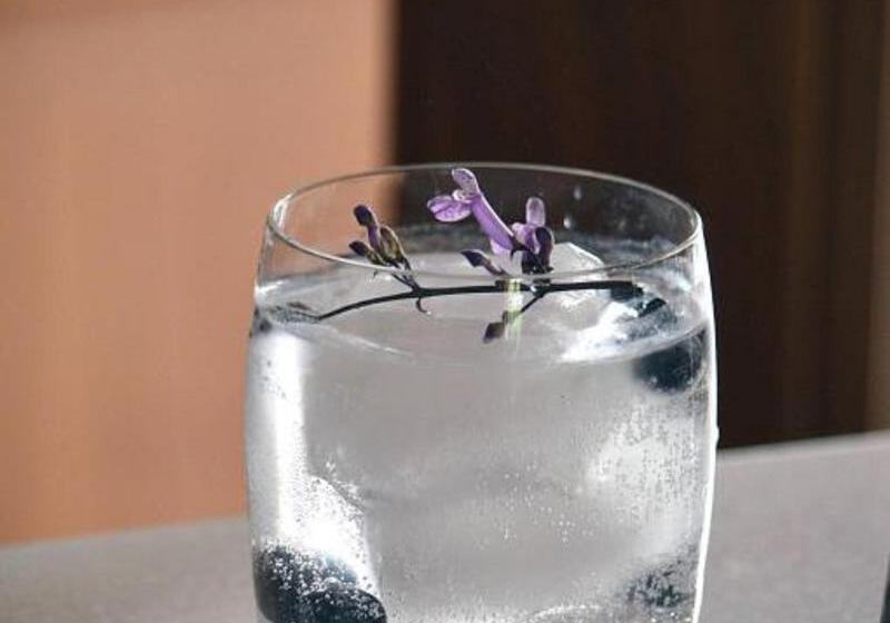 Fotos del hotel Casa Blanca 7:  9