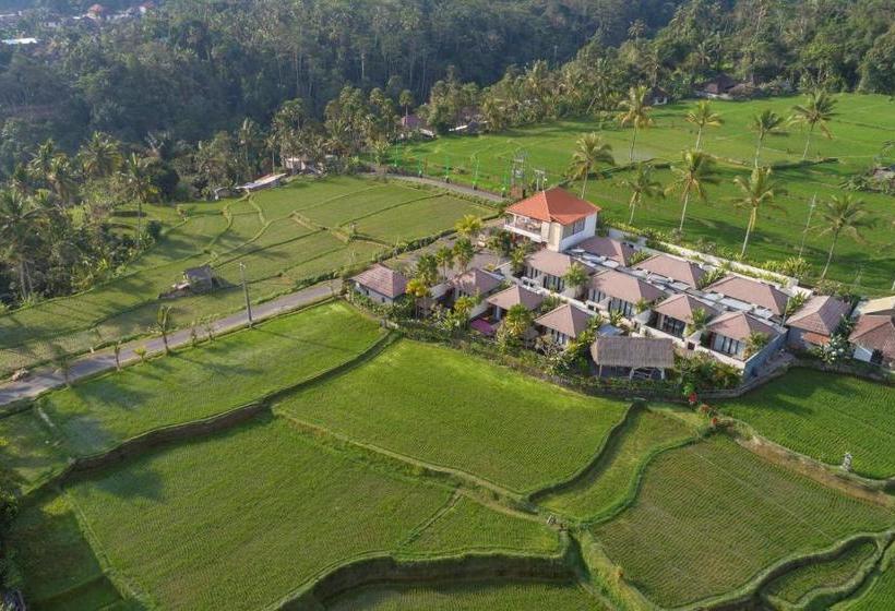 Fotos del hotel Amatara Abirama Villas:  4