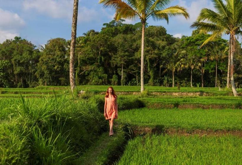 Fotos del hotel Amatara Abirama Villas:  10