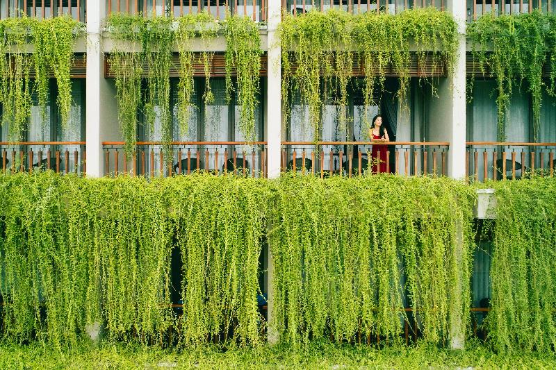 Fotos del hotel Silk Sense Hoi An River Resort:  10