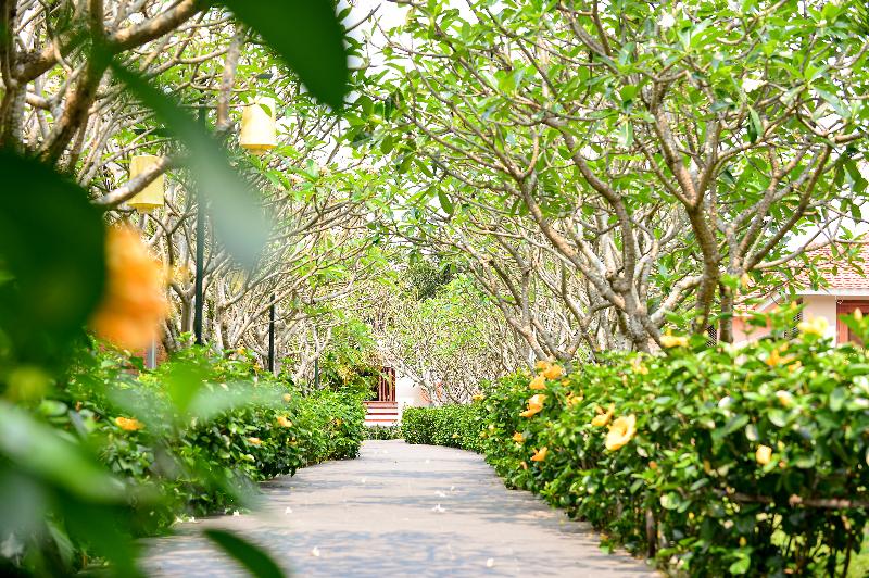 Fotos del hotel Silk Sense Hoi An River Resort:  17