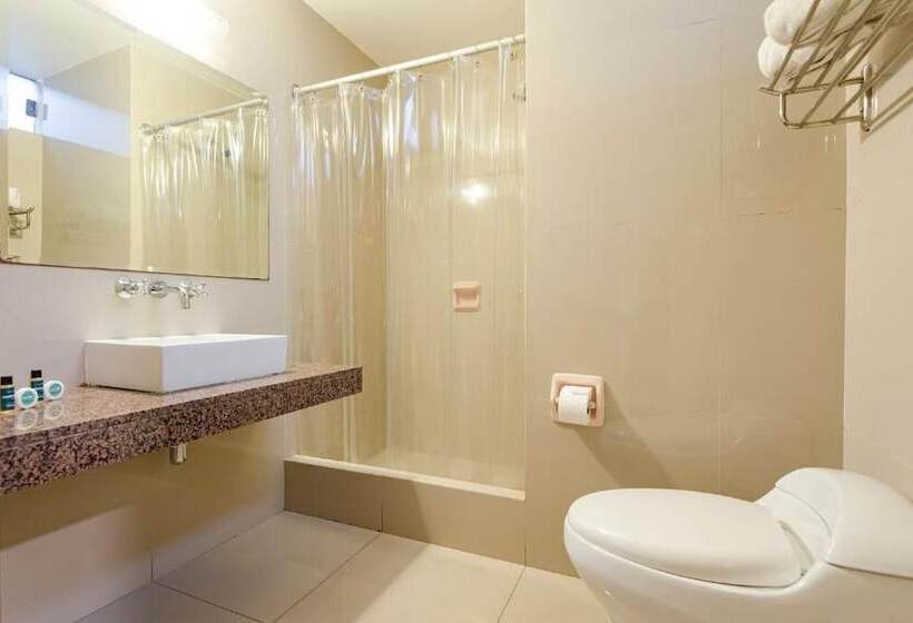 Fotos del hotel Ayenda María Luisa:  4