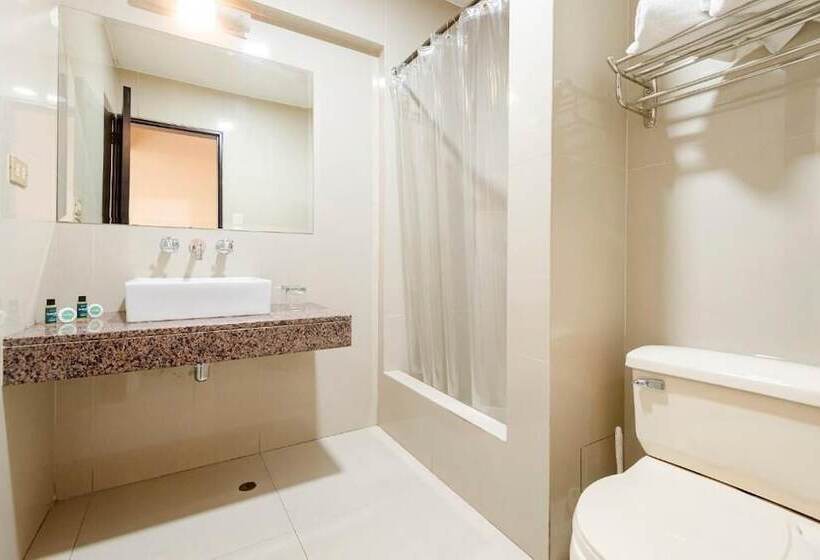 Fotos del hotel Ayenda María Luisa:  9