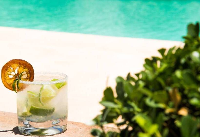 Fotos del hotel Tupa Lodge:  9