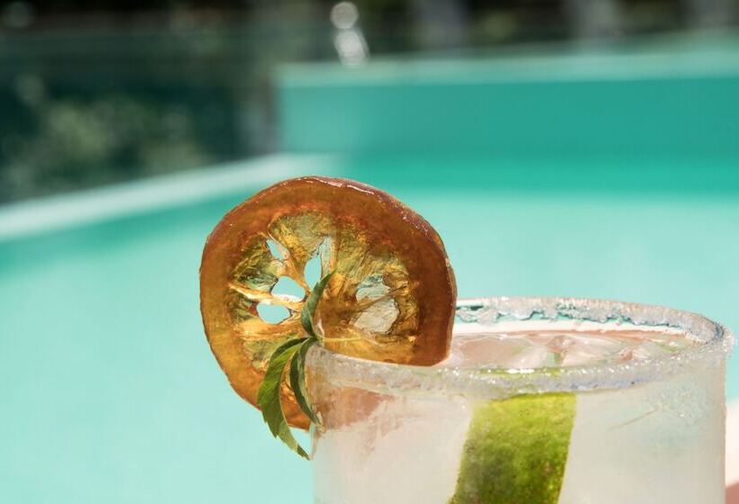 Fotos del hotel Tupa Lodge:  4