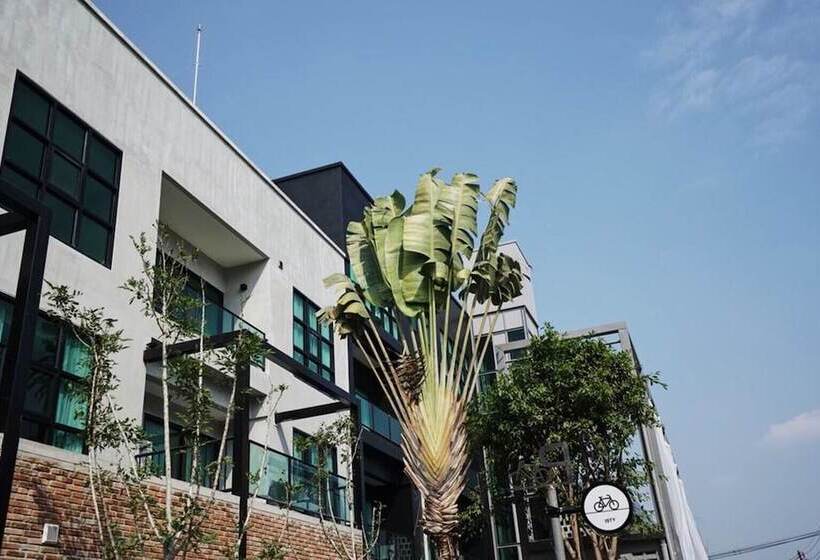 Fotos del hotel Isty  Sha Extra Plus:  18