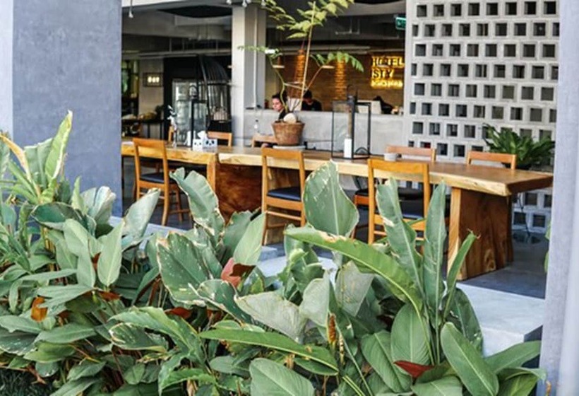 Fotos del hotel Isty  Sha Extra Plus:  7