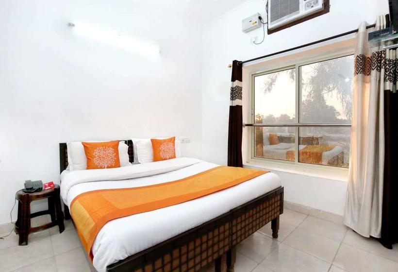 Fotos del hotel Oyo 9371 Hotel Anmol:  24