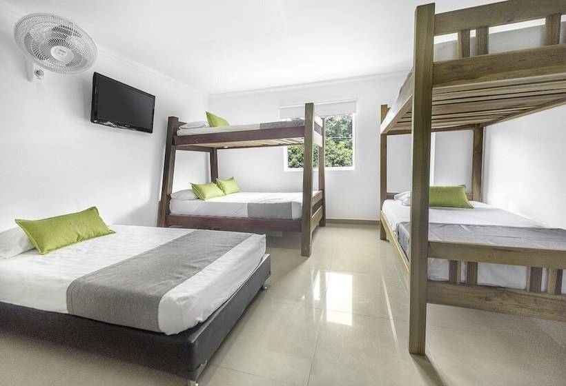 Fotos del hotel Ayenda 1219 Park 6:  13