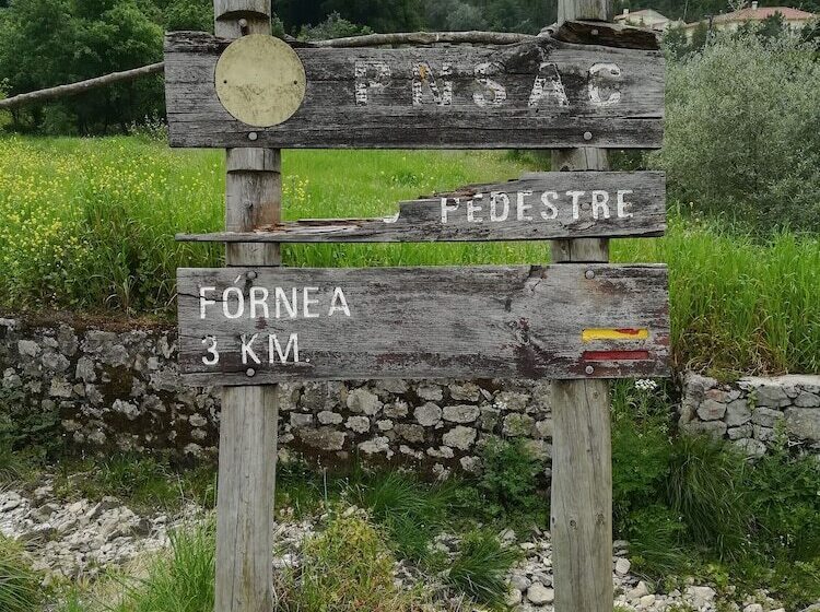 Fotos del hotel Essence Inn Marianos:  8