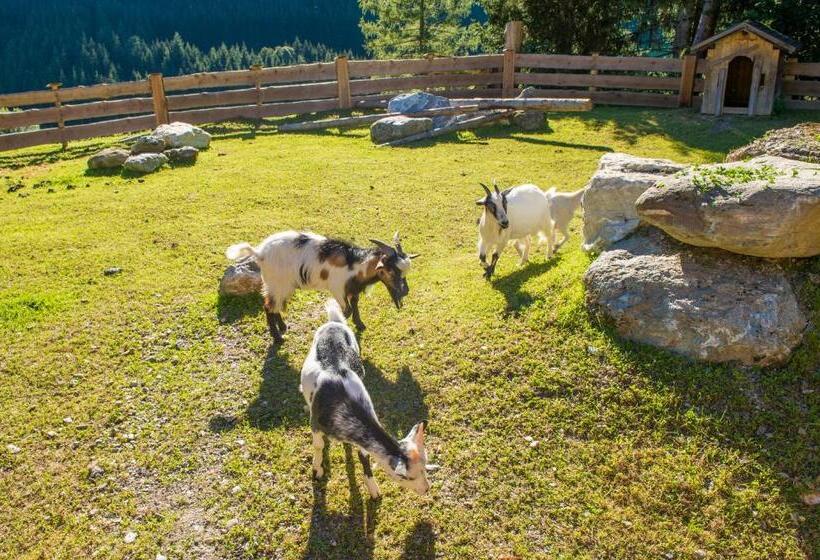 Fotos del hotel Hammerwirt - Forellenhof:  25