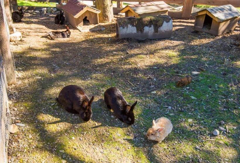 Fotos del hotel Hammerwirt - Forellenhof:  11