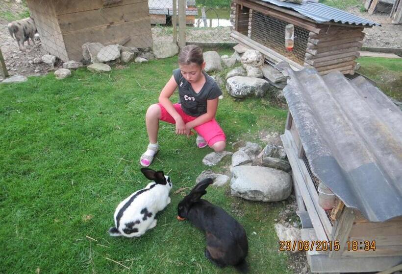 Fotos del hotel Hammerwirt - Forellenhof:  21