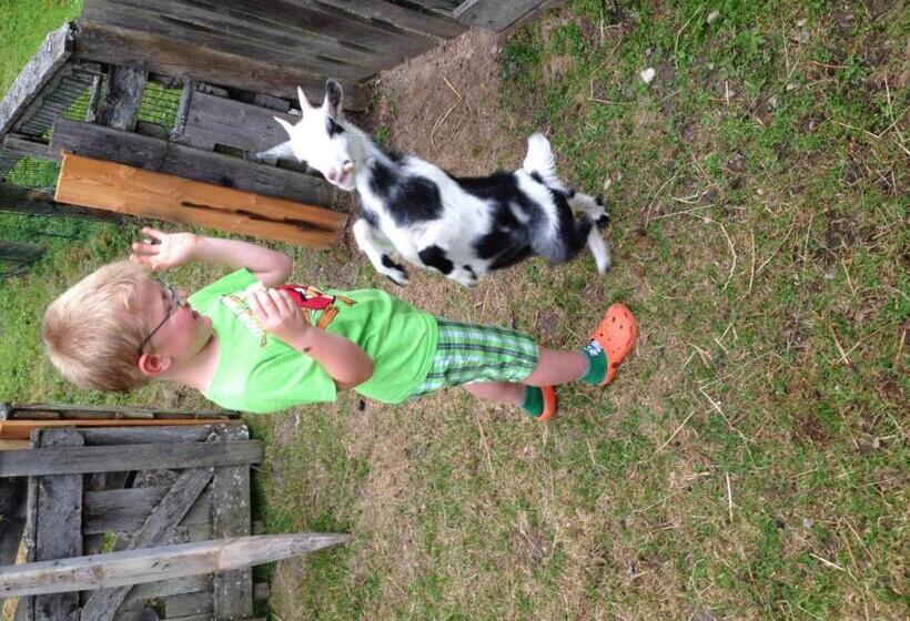 Fotos del hotel Hammerwirt - Forellenhof:  13