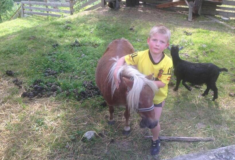 Fotos del hotel Hammerwirt - Forellenhof:  19