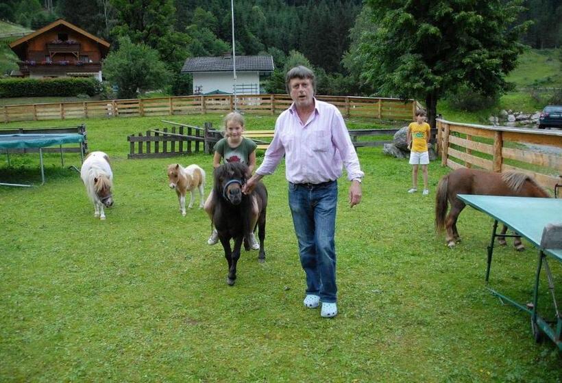 Fotos del hotel Hammerwirt - Forellenhof:  17