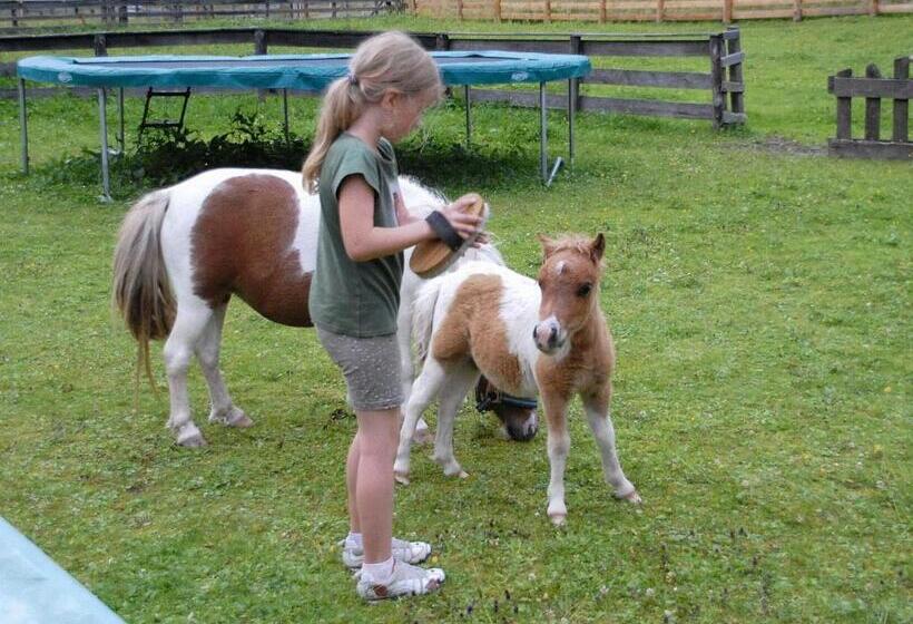 Fotos del hotel Hammerwirt - Forellenhof:  15