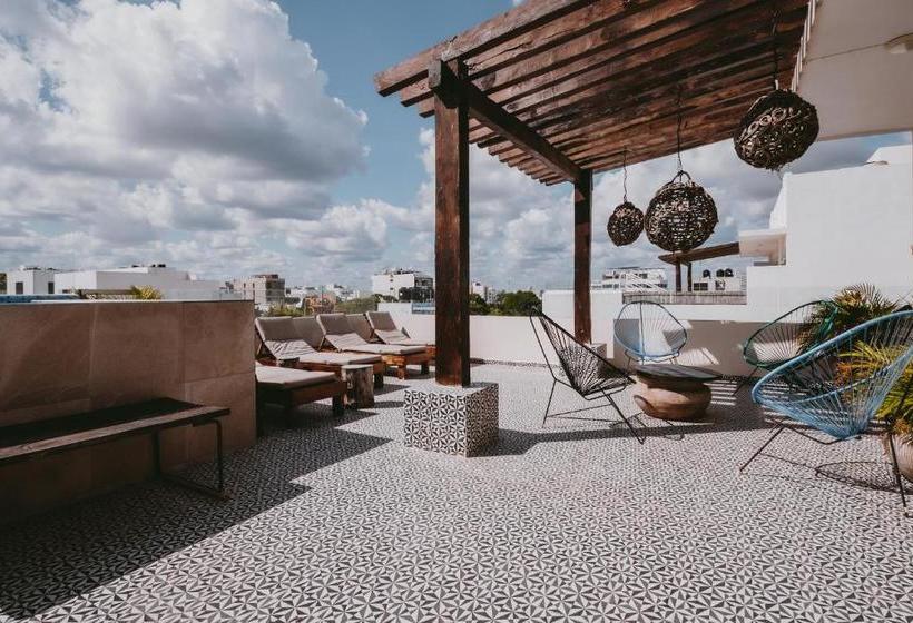 Fotos del hotel Kalma Casa Mora:  7