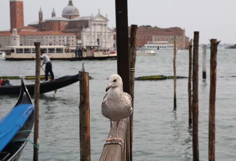 Fotos del hotel Pineda Apart:  8