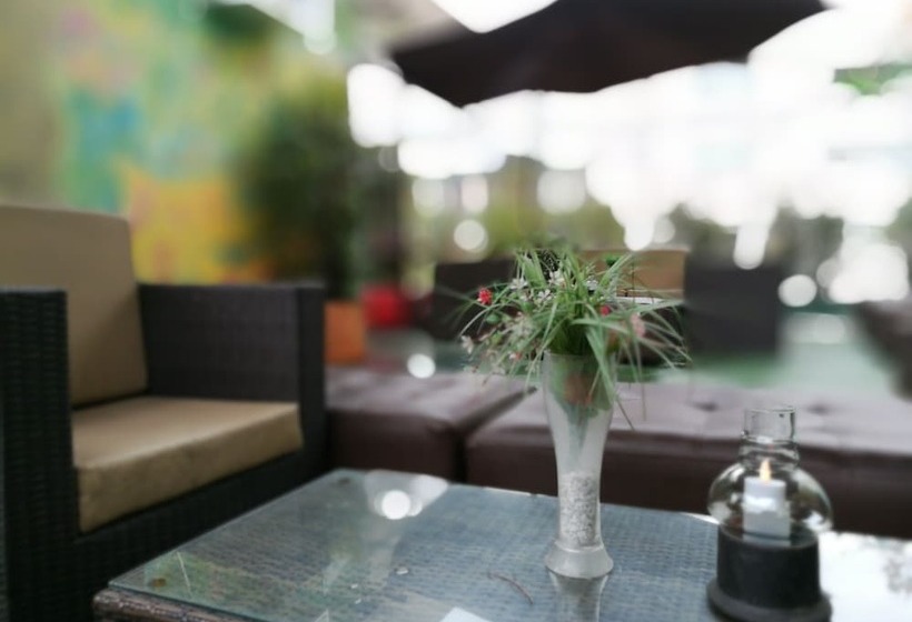 Fotos del hotel Boutique San Sebastián:  5