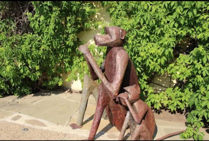 Fotos del hotel Onganga:  7