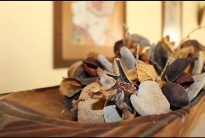 Fotos del hotel Onganga:  12