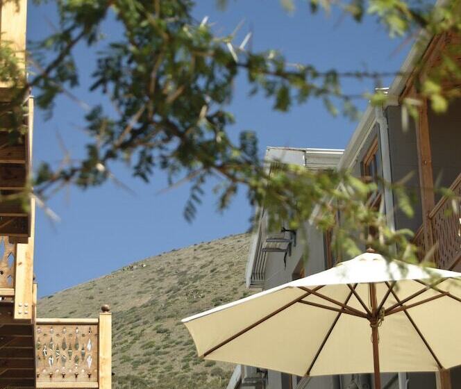 Fotos del hotel Wilton Manor:  13