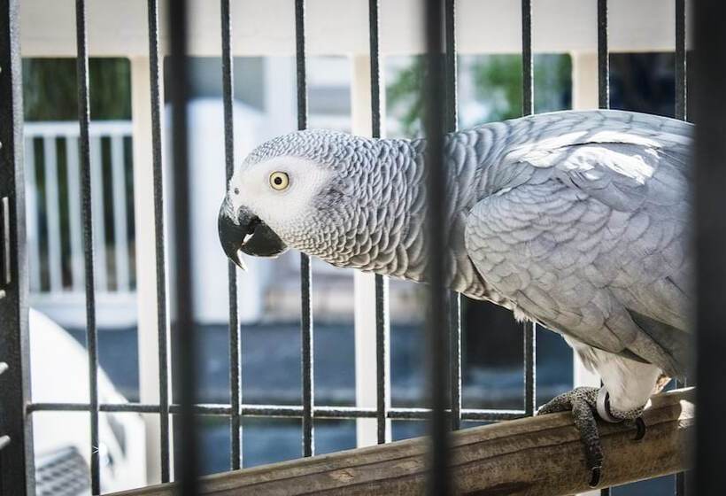 Fotos del hotel Wilton Manor:  9