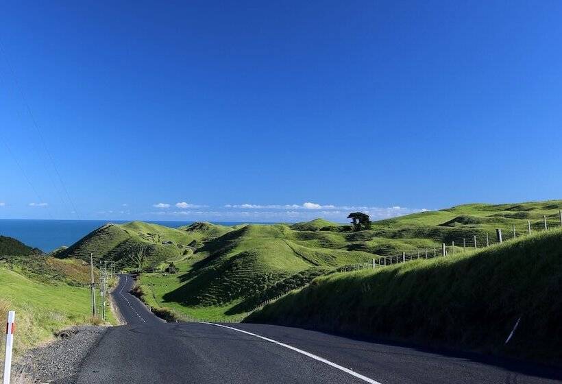 Fotos del hotel Waiuku Lodge Motel:  13