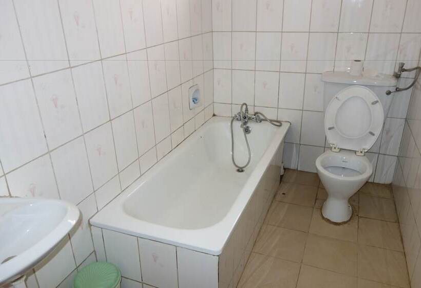 Fotos del hotel Satellite:  9