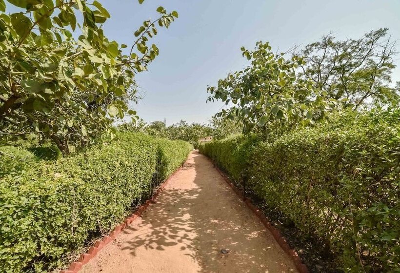 Fotos del hotel Pushkar Rajwara Resort:  4