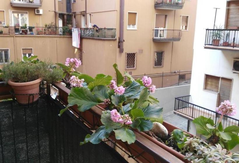 Fotos del hotel Sole:  18