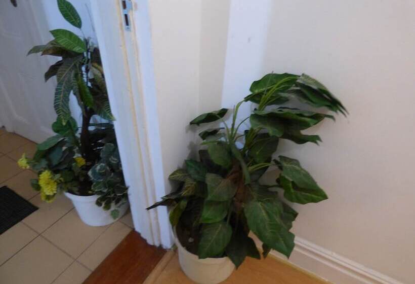 Fotos del hotel Daisy Lodge:  8