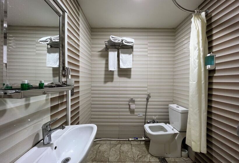 Fotos del hotel Salam:  13