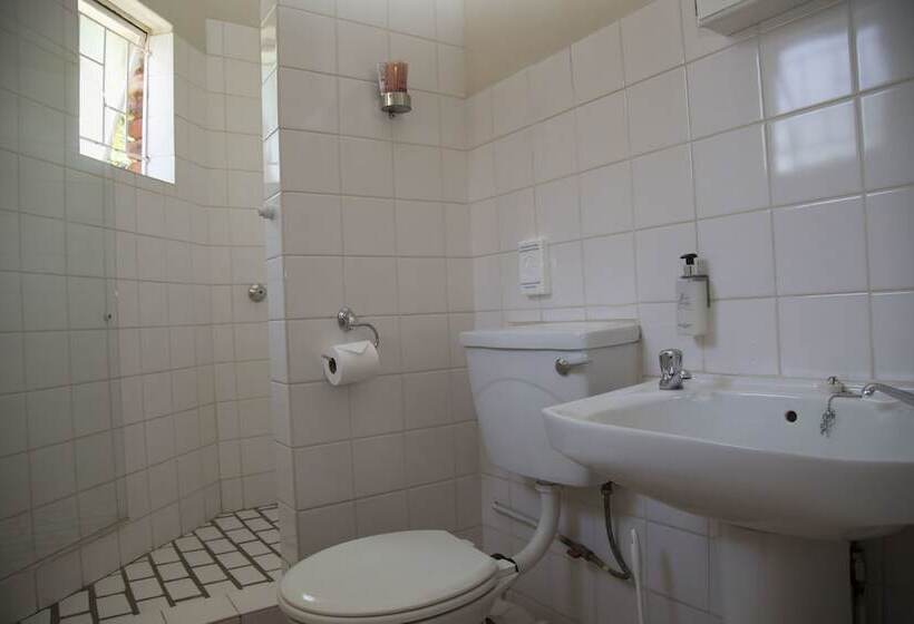 Fotos del hotel Xaviera Guest House:  3