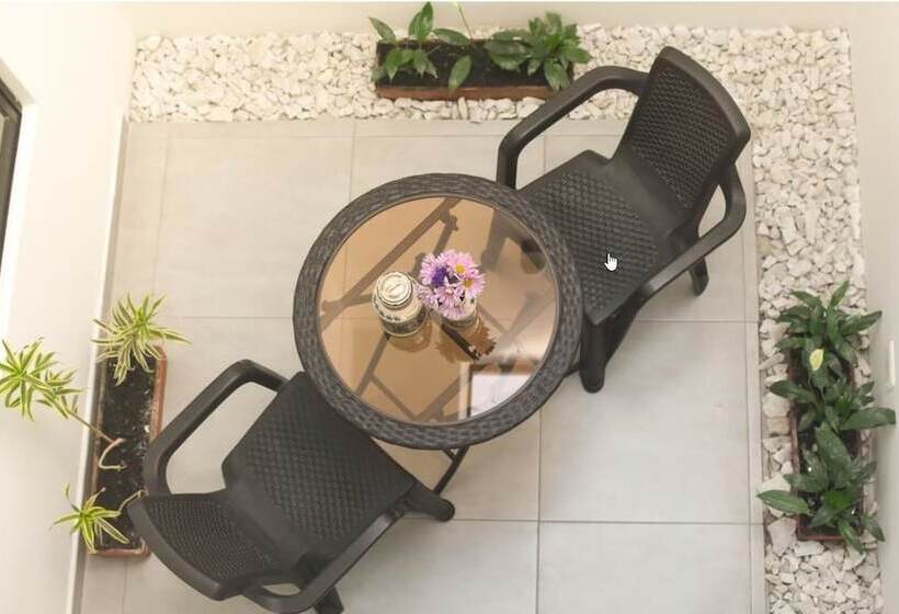 Fotos del hotel Terraza  Bogota:  4