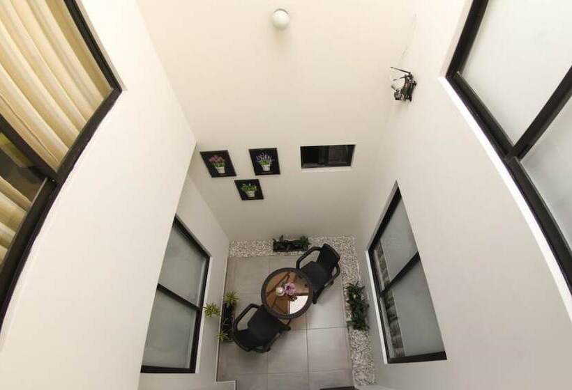 Fotos del hotel Terraza  Bogota:  17