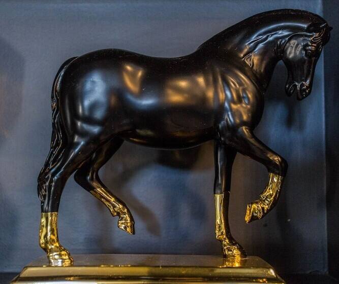 Fotos del hotel Mccormick Place Guest House:  14