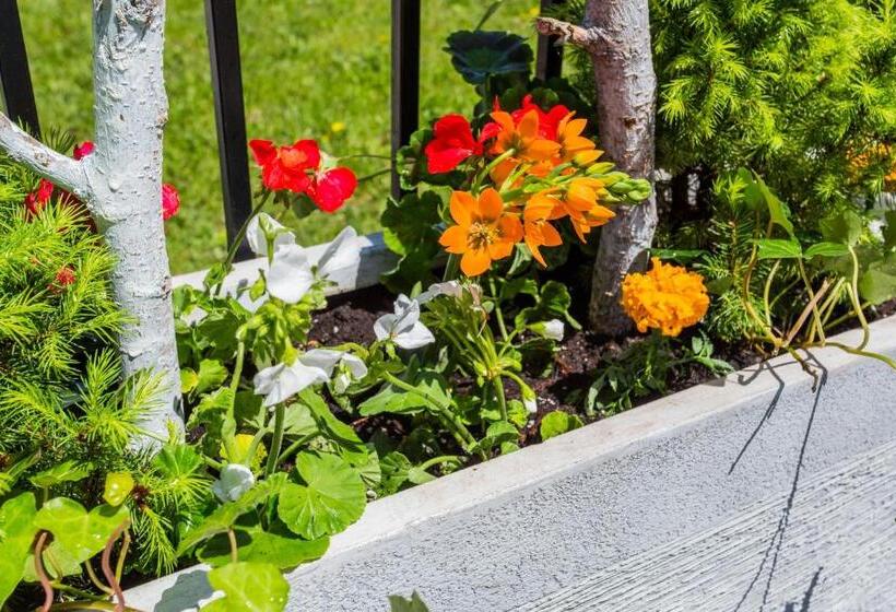 Fotos del hotel Mccormick Place Guest House:  22