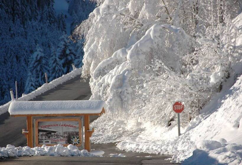 Fotos del hotel -pension Lackenbauer:  23