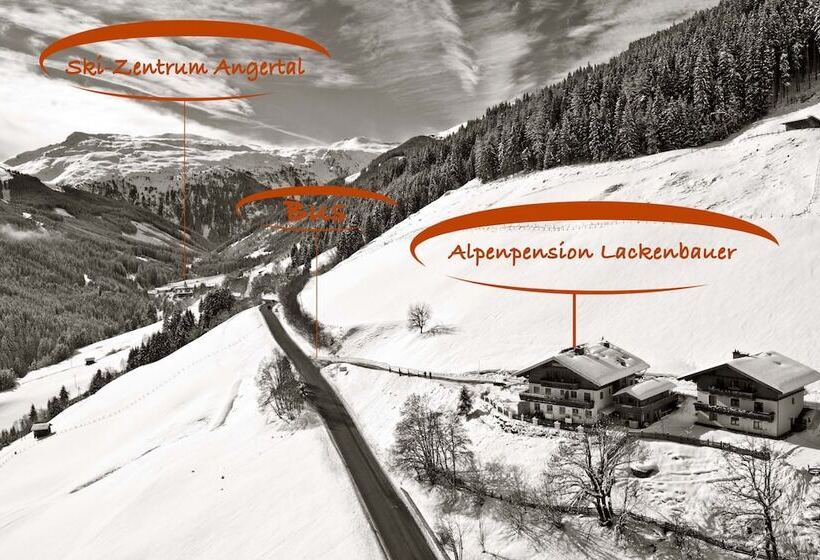 Fotos del hotel -pension Lackenbauer:  12