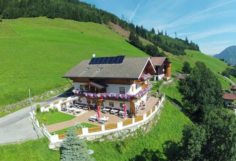 Fotos del hotel -pension Lackenbauer:  14