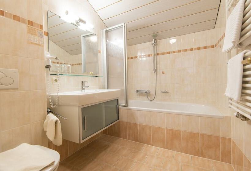 Fotos del hotel -pension Lackenbauer:  5