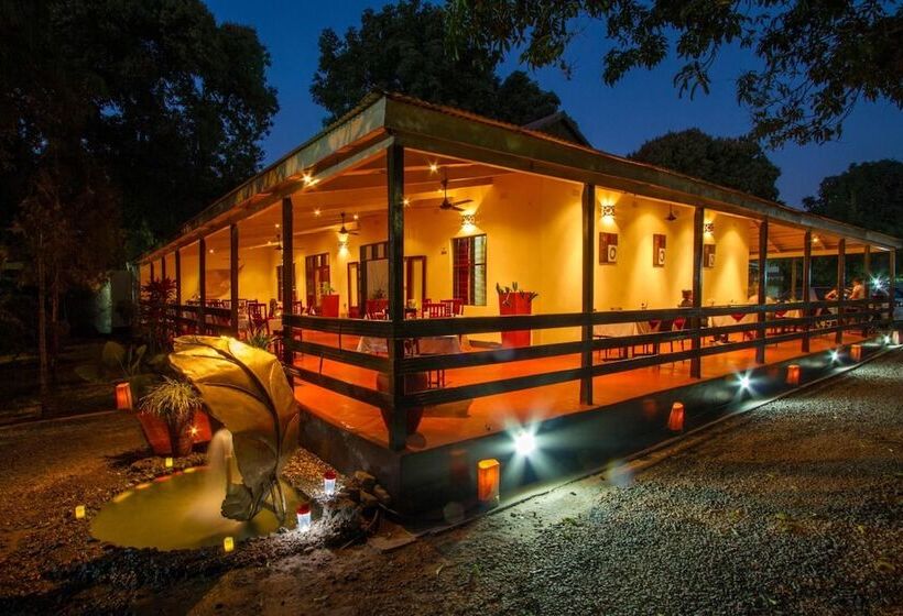 Fotos del hotel Ravine Lodge:  19