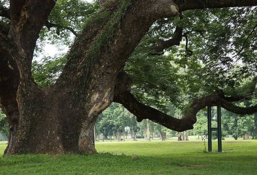 Fotos del hotel Eastan View Chiang Mai:  25