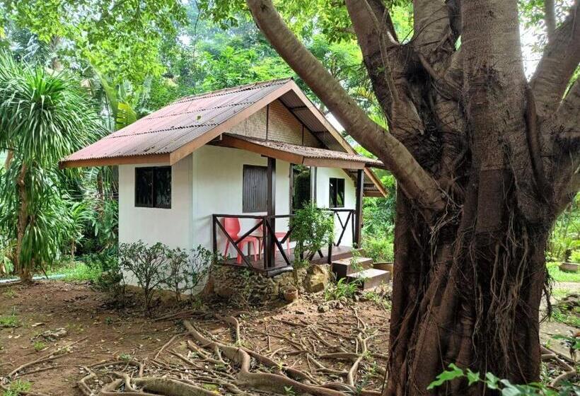 Fotos del hotel Faye Orchid Resort:  3