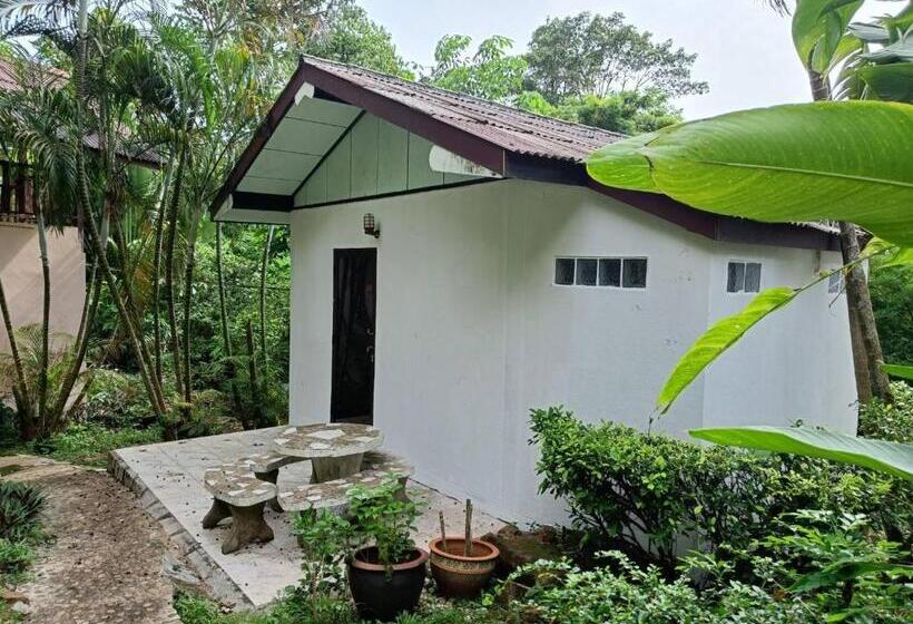 Fotos del hotel Faye Orchid Resort:  5