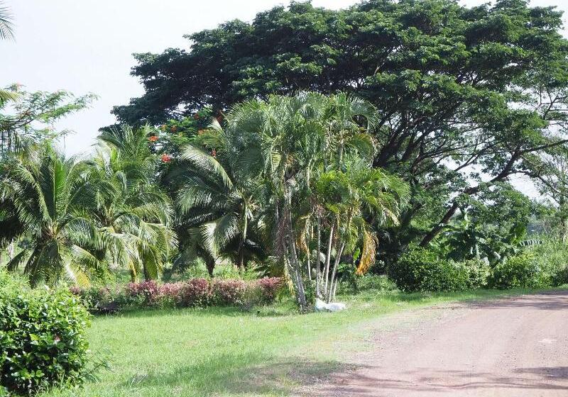 Fotos del hotel Goldenland Resort:  16