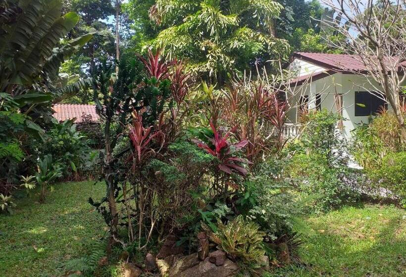 Fotos del hotel Kamrai Resort:  2