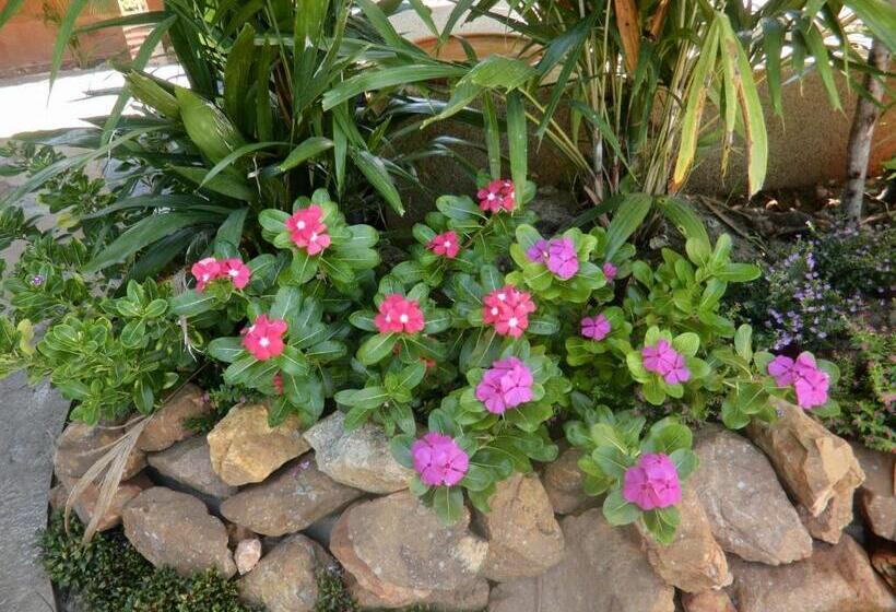 Fotos del hotel Panisara Pool Villa:  4